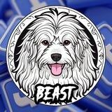 Mark Zuckerberg's Dog | $BEAST