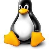 LINUX