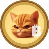 BabyCat➕🍼🍼🍼 daily | Bitmart confimed 🍼100x