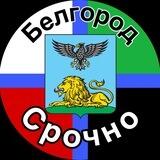 Белгород Срочно