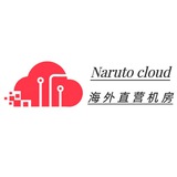 Naruto火影云🔥Idc直营机房云服务器