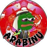 $ARAB丨STEP INTO ARABINU