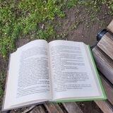 Books deals reviews