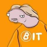 BRAD BIT | PORTAL