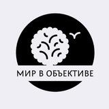 Мир в объективе