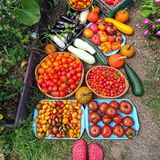 Тайны муссонов