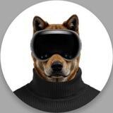Dog Vision Pro