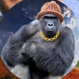 HarambeWifHat Channel