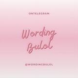 ৎ ˖ ࣪ ׅ wording bulol 𐦍 ˖