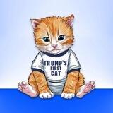 $SIMBA - Trump's First Cat