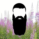 Усадьба лѣкаря