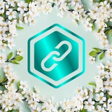 Joylinks IT academy