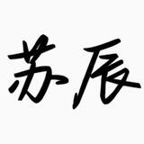 苏辰小额（纯博彩料）跑分——兴为上押3000U