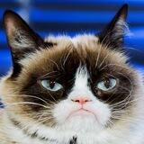 $GRUMP Portal
