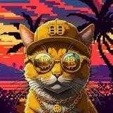 SatoshiCAt $BITCAT