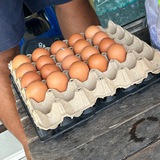 发单群🥚