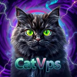 کَت سرور 🐈‍⬛ | کانفینگ رایگان | کانفیگ رایگان v2rayng | فیلترشکن رایگان| وی پی ان ویندوز | وی پی ان اندروید | وی پی ان ایفون