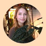 Luiza_iva | Растения