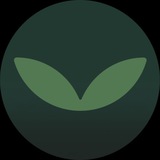 Repka.tech