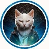 KittyMemeCoin
