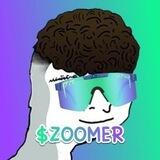Zoomer CTO