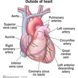 اطلاعات پزشکی