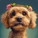 $BENITA PORTAL