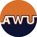 AWU Foundation | HOMS Token