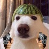 Melon