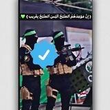 ستوريات قسامي