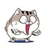 😻 AMI CAT | $AMI