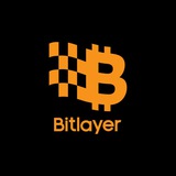 Bitlayer Việt Nam 🇻🇳