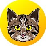 Tigra - Hemule's Twin Cat
