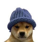 Dog wif hat | ETH