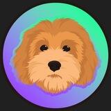 Rocky | The Solana Founders Dog