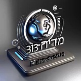 מדיה 313
