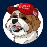$BELLA | Trump Family's Dog