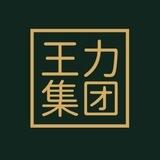 王力集团[小额洗资]
