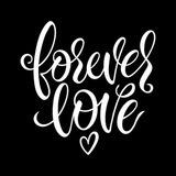 FLOVE Token 5/5 🔐 LP LOCK 1Y