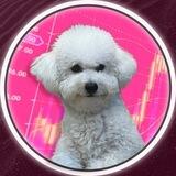 🐶 КОКСИК TON (CHAT RU 🇷🇺)