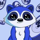 RIKY The Raccoon - CTO