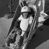 Ham The Astrochimp $CHIMP