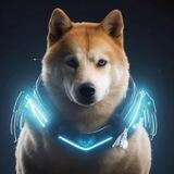 Adoge Global community