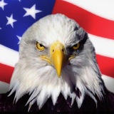 AMERICAN COIN $USA