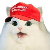 $MAGA - Portal