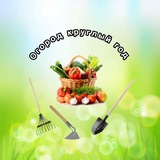 🍎Огород круглый год🍐🍅🍆🍓