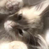 соборище сонхёна🎀