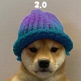 $wif2.0