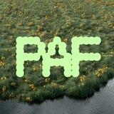 port art fair / PAF