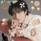 ⊹ ࣪˖ 🐈‍⬛️🪶 ᮫ ࣪ 𓈒 latrine — within adorableness n' ataractic glaring